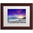 thumbnail image 1 of Trademark Fine Art "Almost There" Canvas Art by Philippe Sainte-Laudy, White Matte, Wood Frame, 1 of 4