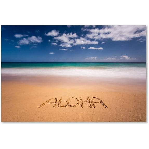 Trademark Fine Art 'Aloha' Canvas Art by Pierre Leclerc