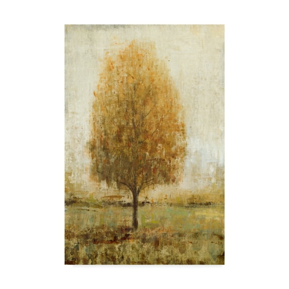 Trademark Fine Art 'Alone I' Canvas Art by Tim OToole