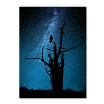 Trademark Fine Art 'Alone In The Dark' Canvas Art by Manu Allicot