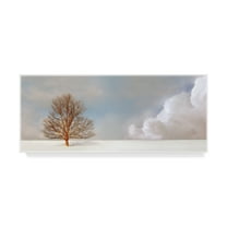 Trademark Fine Art 'Alone In The Whiteness' Canvas Art by Carlos Casamayor