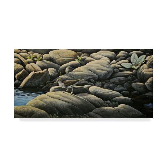 Trademark Fine Art 'Along The Creek' Canvas Art by Wilhelm Goebel