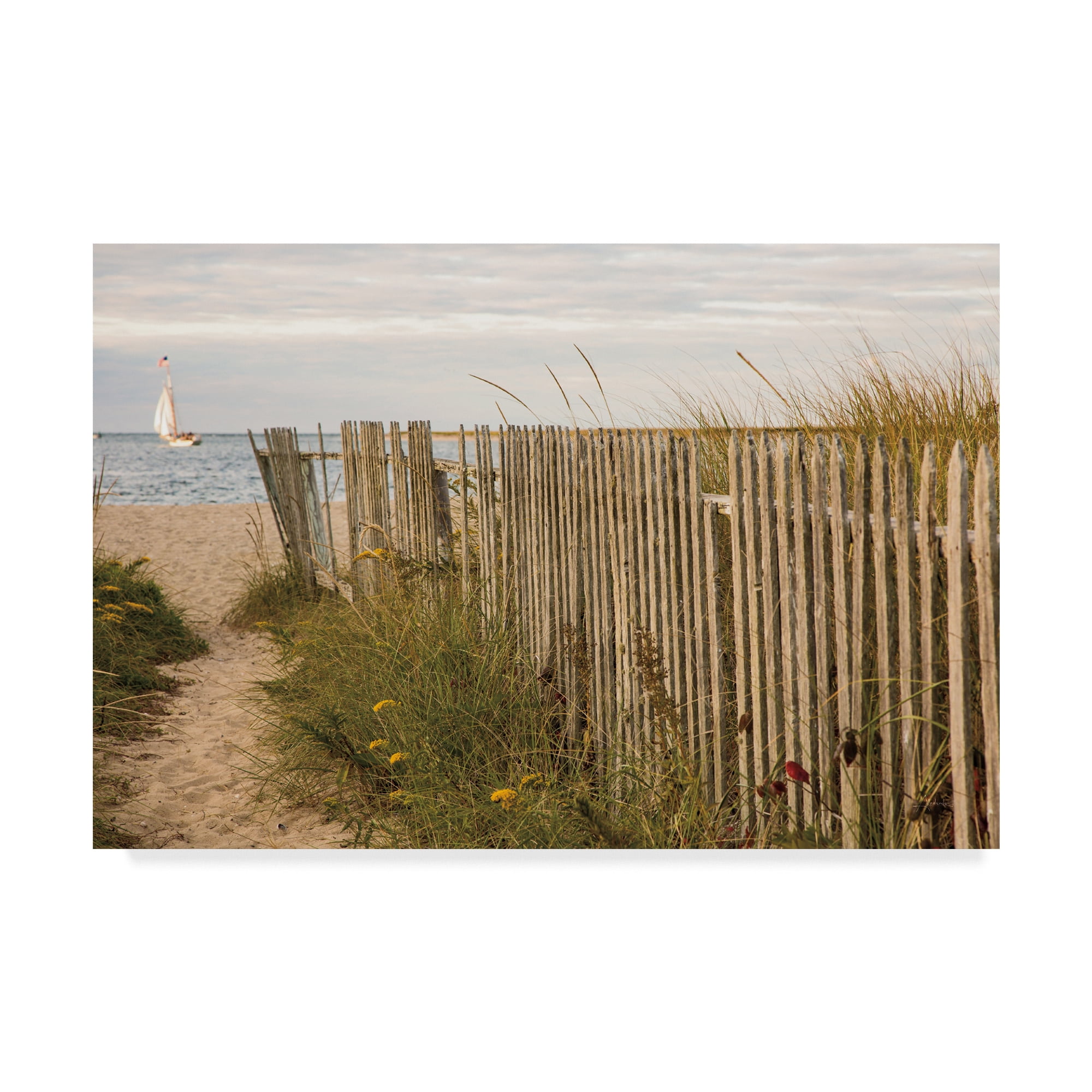 Trademark Fine Art 'Along the Beach Fence II' Canvas Art by Aledanda