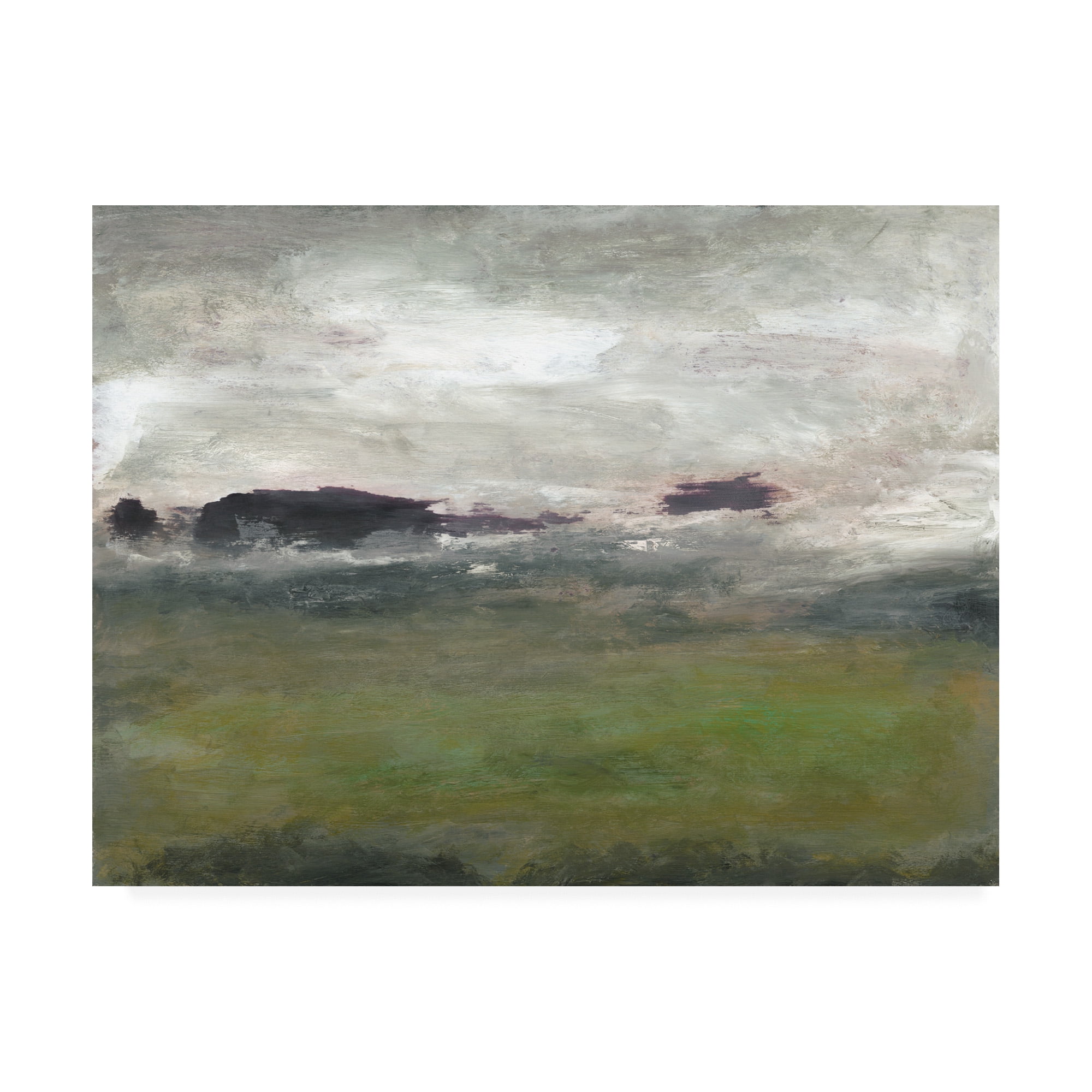 Trademark Fine Art 'Along the Island I' Canvas Art by Sharon Gordon