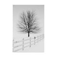 thumbnail image 1 of Trademark Fine Art 'Along the Lane III' Canvas Art by Aledanda, 1 of 3