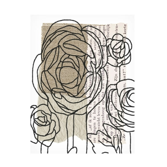 Trademark Fine Art Alonzo Saunders  Drawn Flowers I Canvas Wall Art