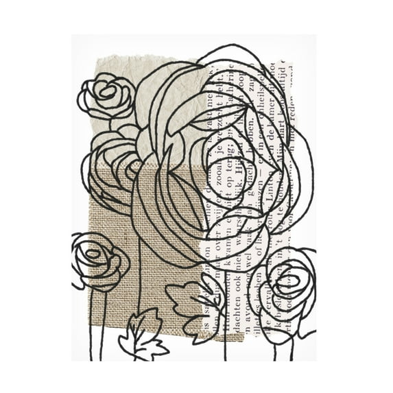 Trademark Fine Art Alonzo Saunders Drawn Flowers II Canvas Wall Art