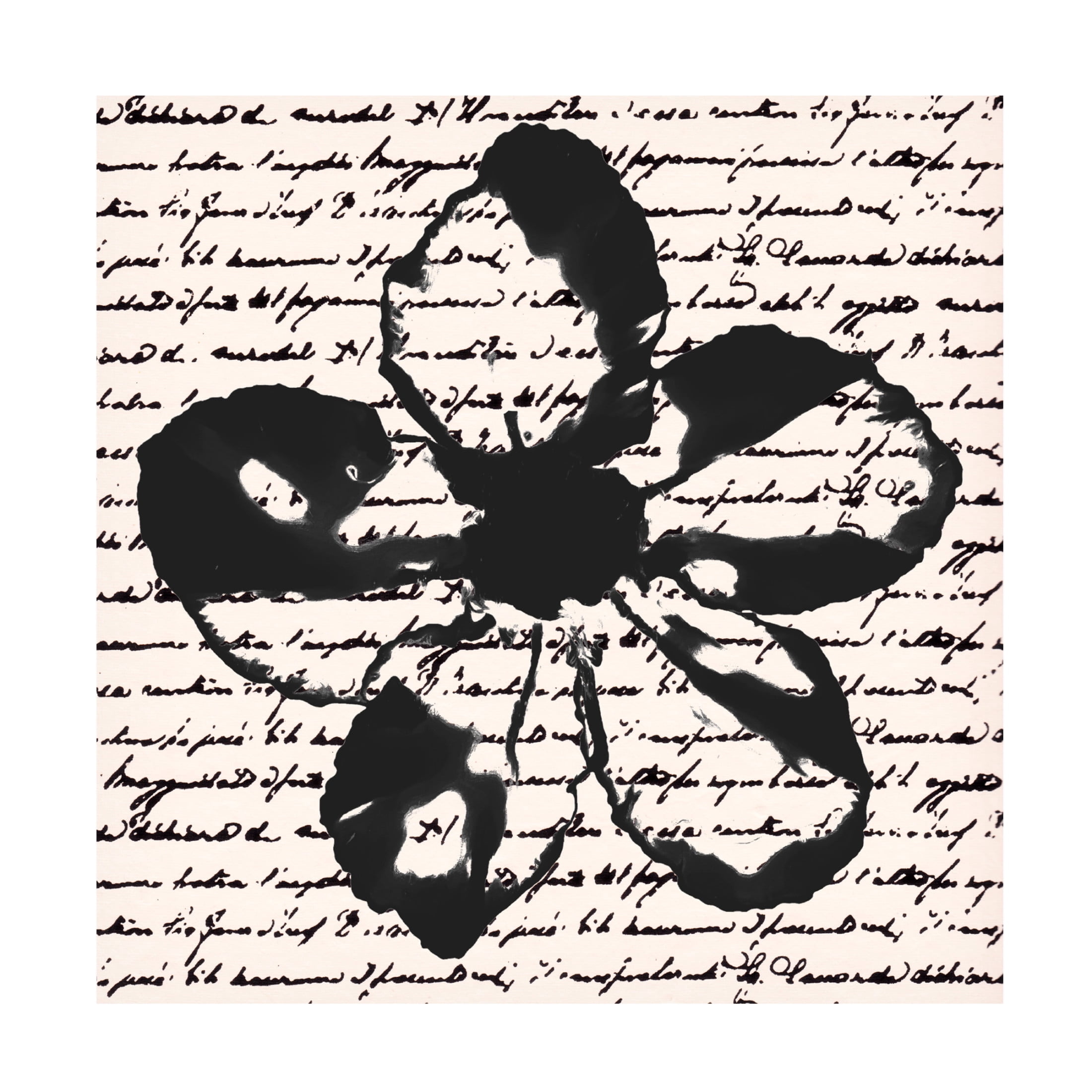 Trademark Fine Art Alonzo Saunders  Inky Floral I Canvas Wall Art