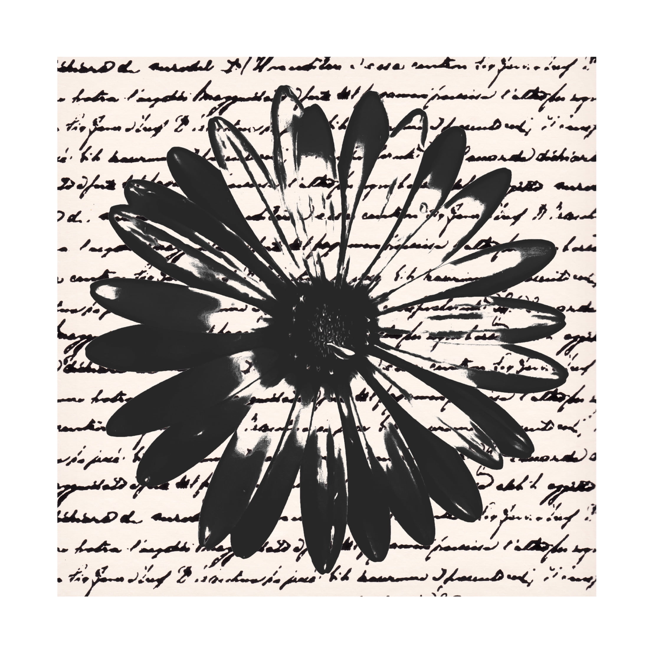 Trademark Fine Art Alonzo Saunders  Inky Floral II Canvas Wall Art
