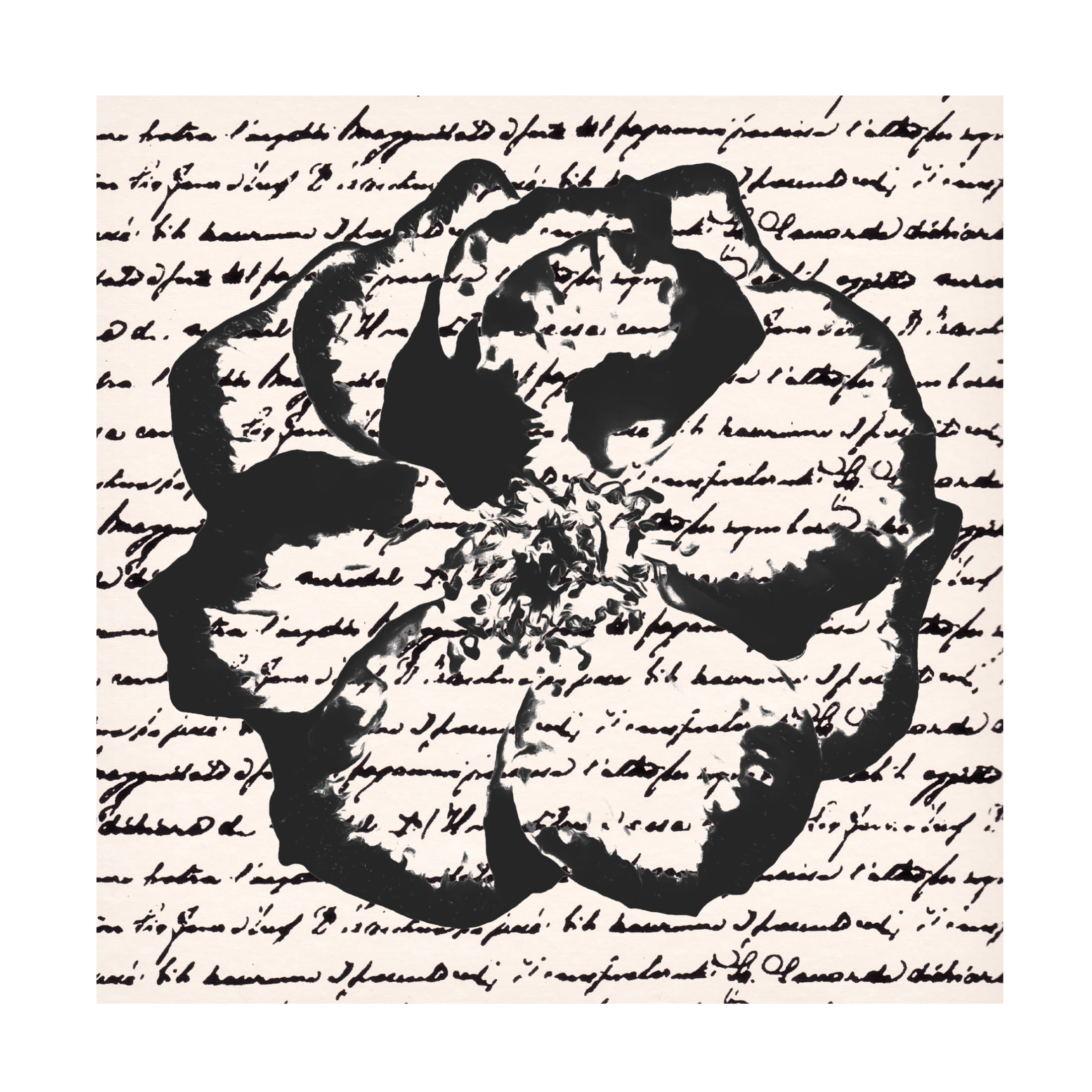 Trademark Fine Art Alonzo Saunders  Inky Floral III Canvas Wall Art