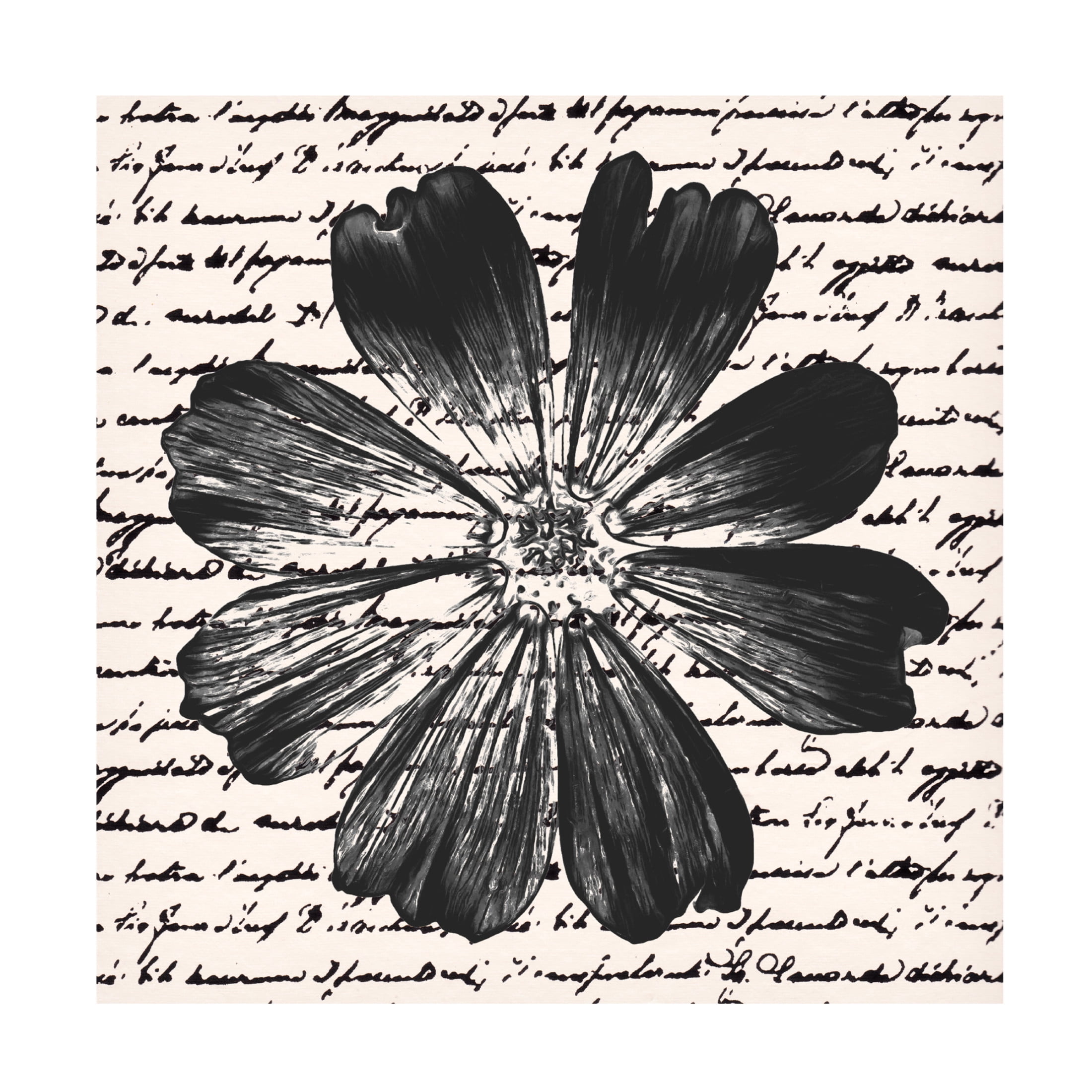 Trademark Fine Art Alonzo Saunders Inky Floral IV Canvas Wall Art