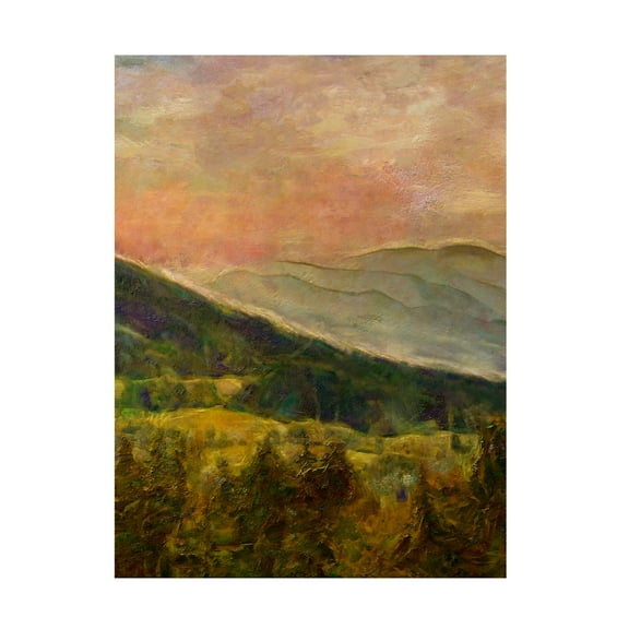 Trademark Fine Art Alonzo Saunders  Into the Valley I Canvas Wall Art