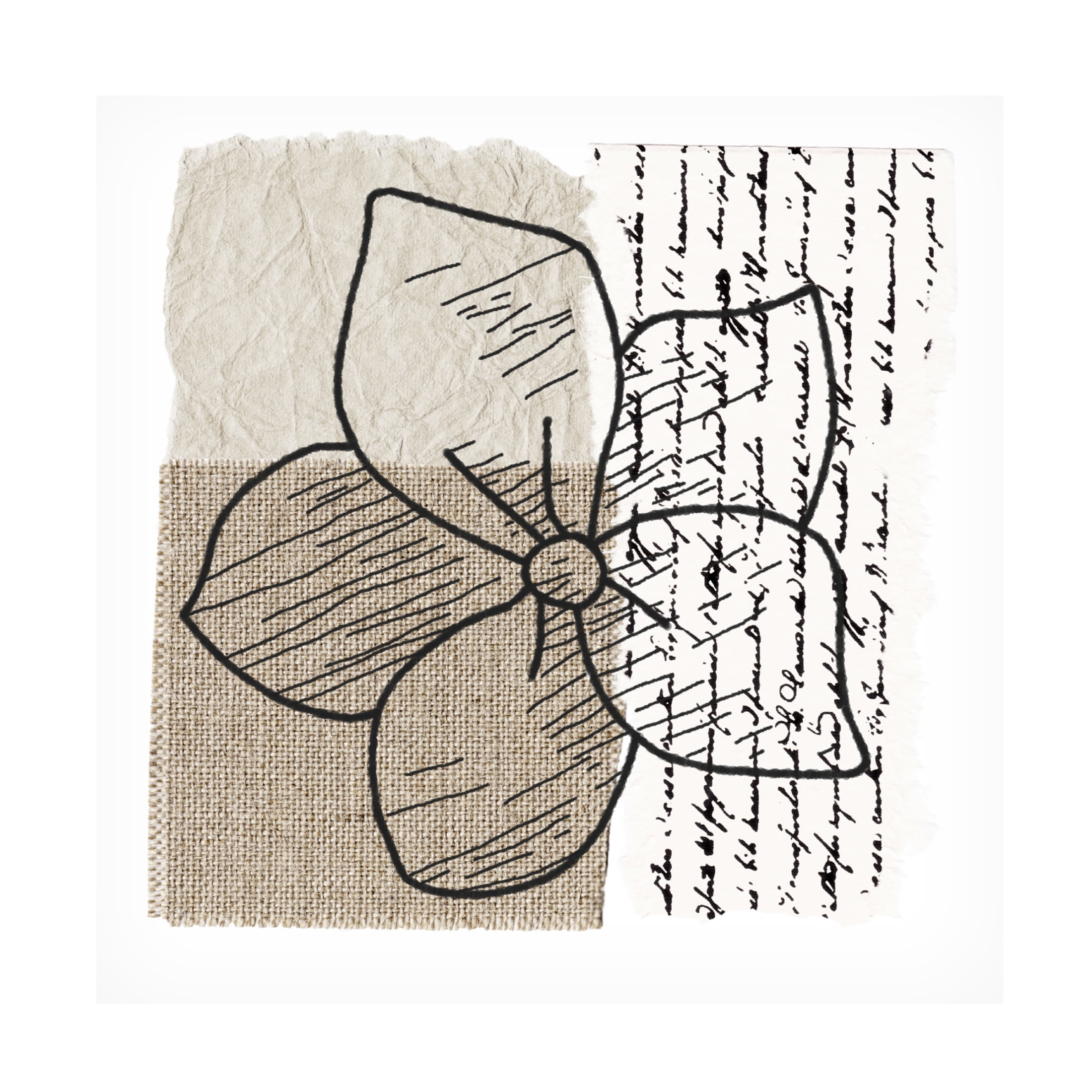 Trademark Fine Art Alonzo Saunders  Simple Flower II Canvas Wall Art