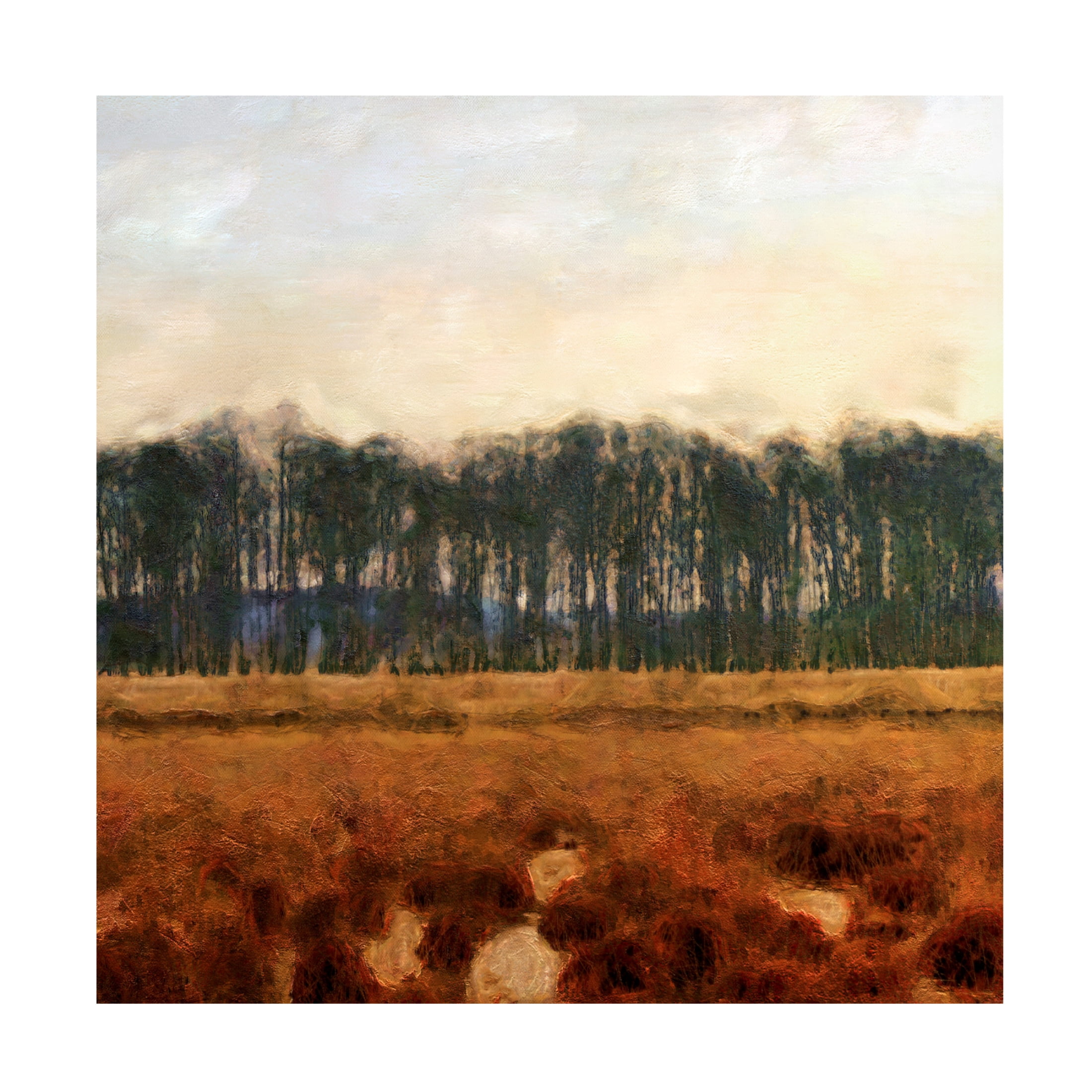 Trademark Fine Art Alonzo Saunders Tranquil Gathering I Canvas Wall Art