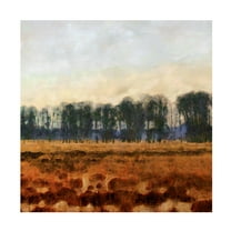 Trademark Fine Art Alonzo Saunders Tranquil Gathering II Canvas Wall Art