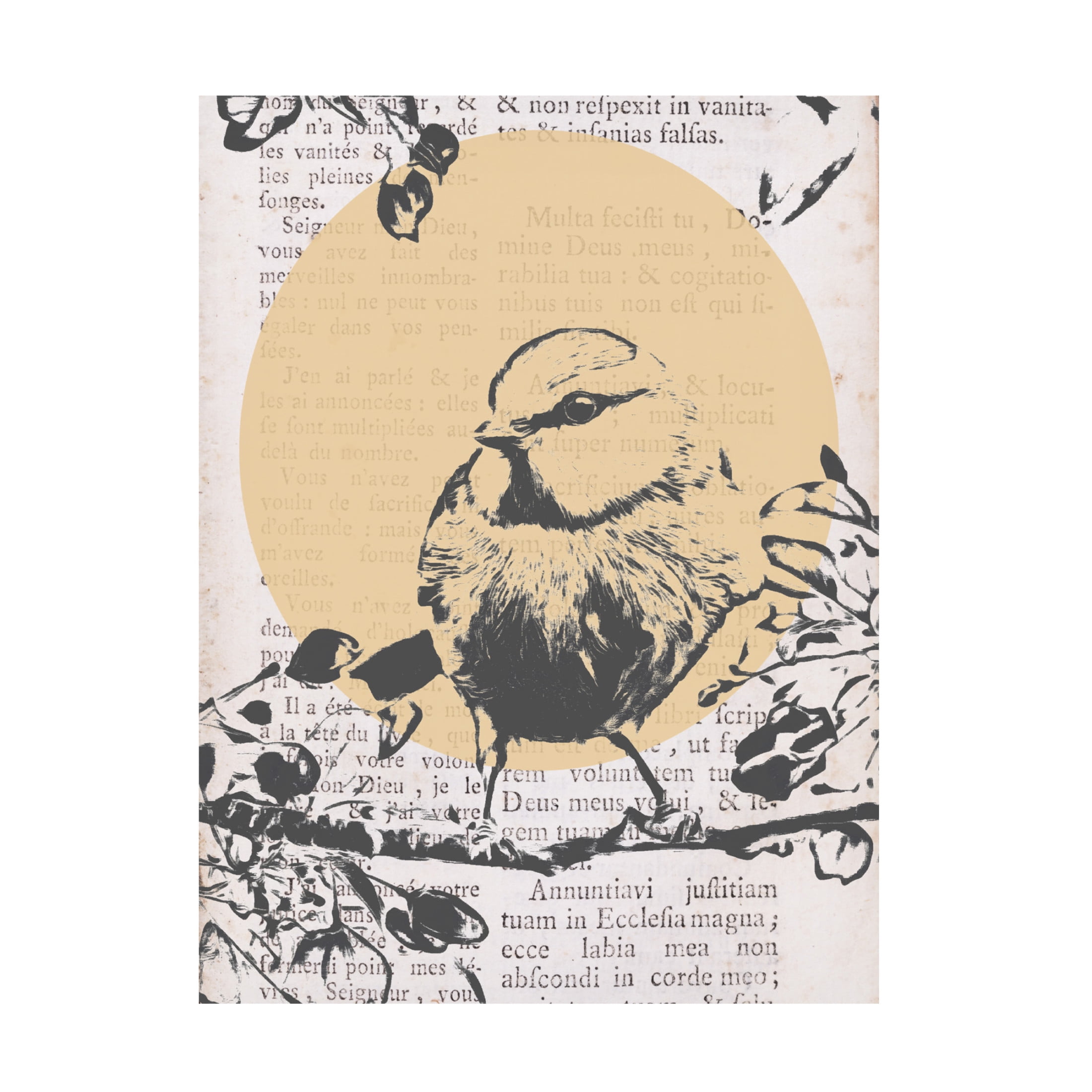 Trademark Fine Art Alonzo Saunders Tweet Tweet I Canvas Wall Art