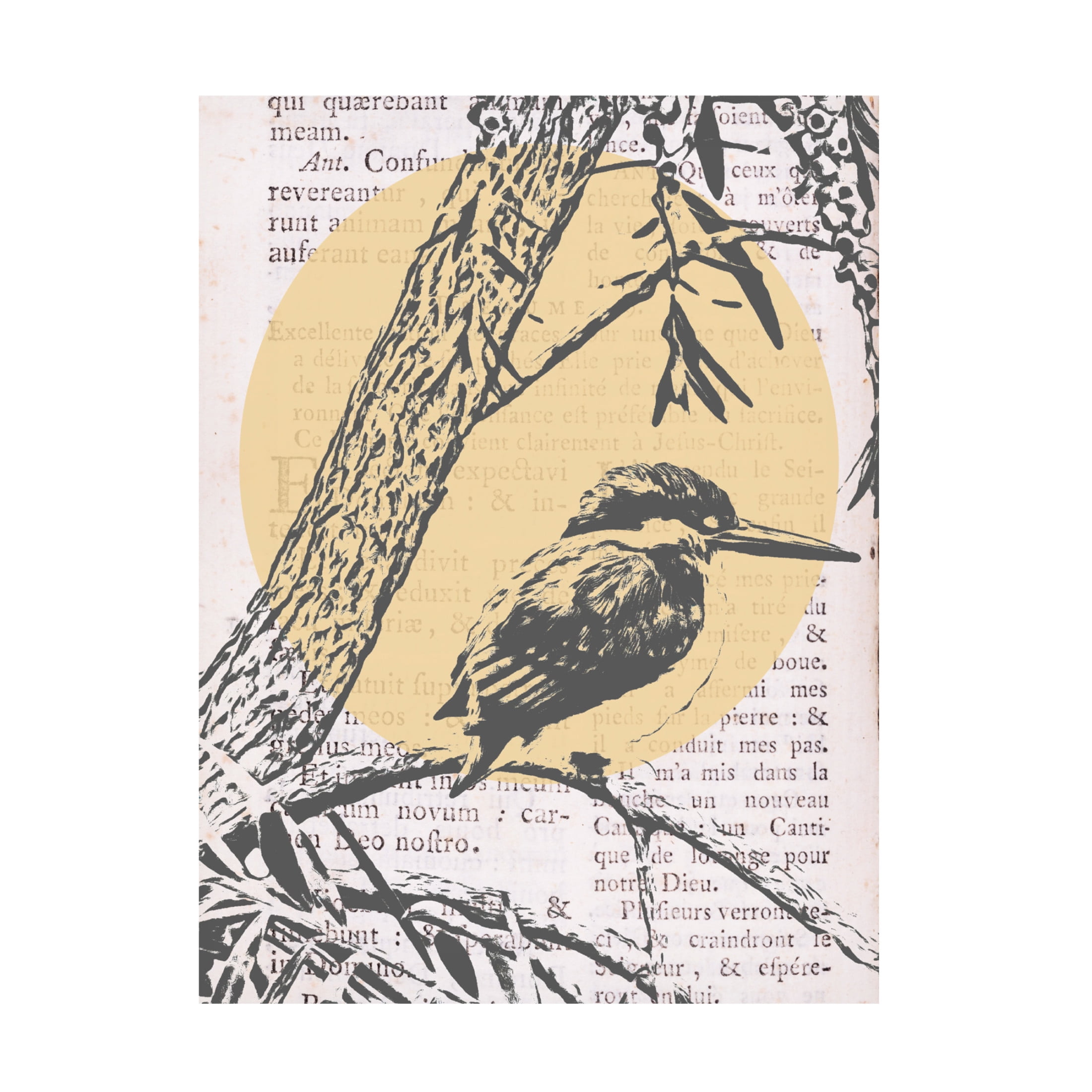 Trademark Fine Art Alonzo Saunders Tweet Tweet II Canvas Wall Art
