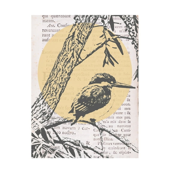 Trademark Fine Art Alonzo Saunders Tweet Tweet II Canvas Wall Art