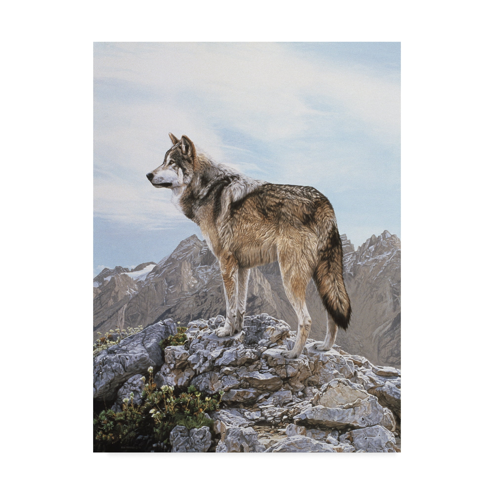 Trademark Fine Art 'Alpine Lookout' Canvas Art by Ron Parker