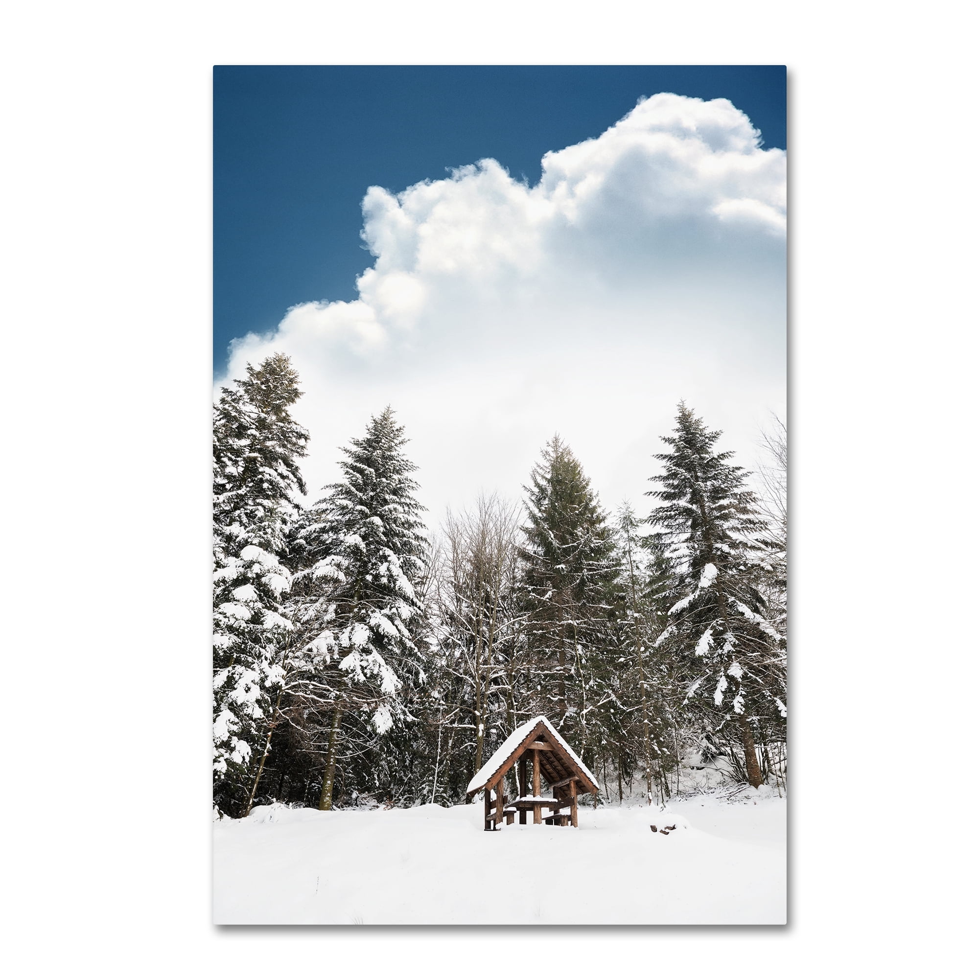 Trademark Fine Art 'Always Been' Canvas Art by Philippe Sainte-Laudy