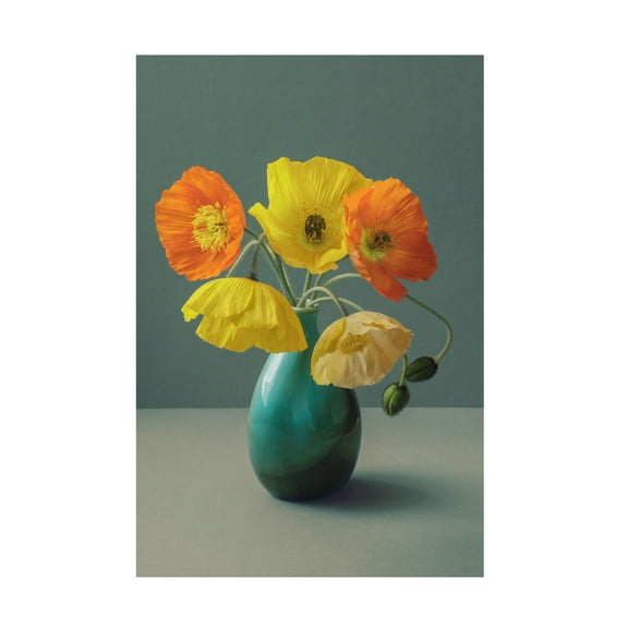 Trademark Fine Art Alyson Fennell  Icelandic Poppy Still Life Canvas Wall Art