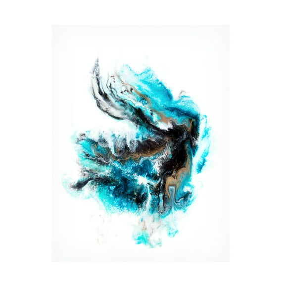 Trademark Fine Art Alyson Storms  Acropora Canvas Wall Art