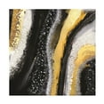 thumbnail image 1 of Trademark Fine Art Alyson Storms Black Agate Canvas Wall Art, 1 of 4