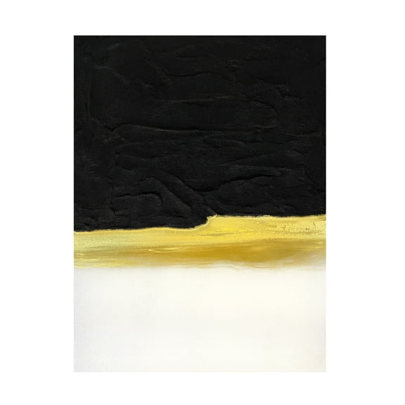 Trademark Fine Art Alyson Storms Black and White Golden Light Canvas Wall Art