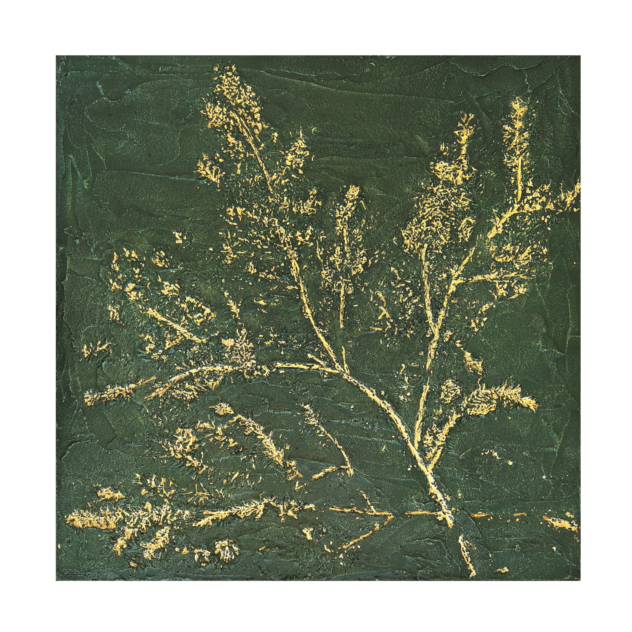 Trademark Fine Art Alyson Storms  Deep In the Forest Canvas Wall Art