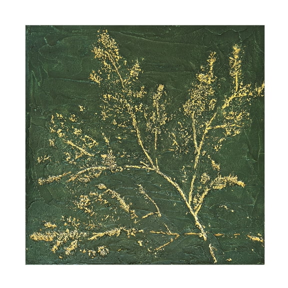 Trademark Fine Art Alyson Storms  Deep In the Forest Canvas Wall Art