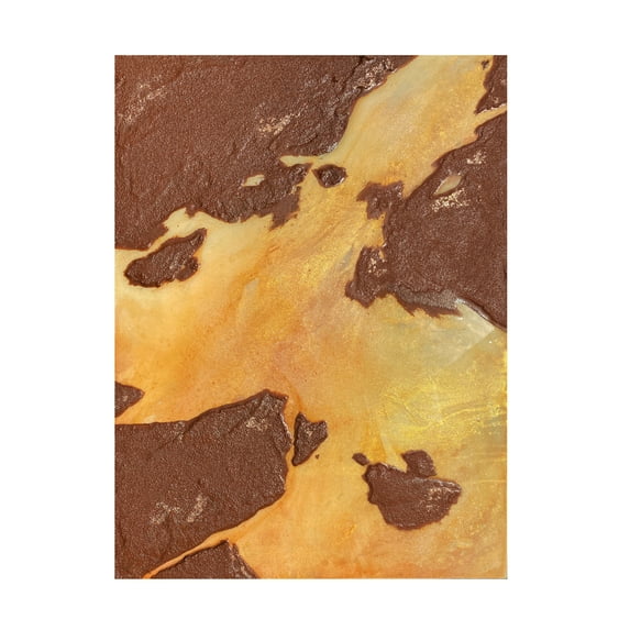 Trademark Fine Art Alyson Storms Desert Canyon Canvas Wall Art