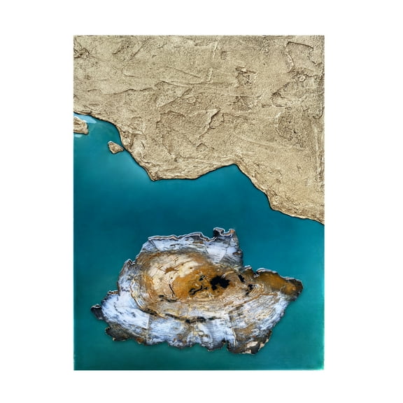 Trademark Fine Art Alyson Storms Elemental Earth Canvas Wall Art