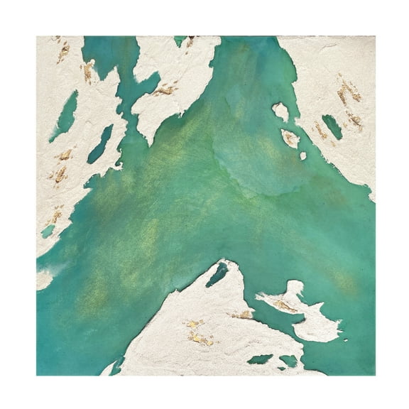 Trademark Fine Art Alyson Storms  Emerald Island Canvas Wall Art