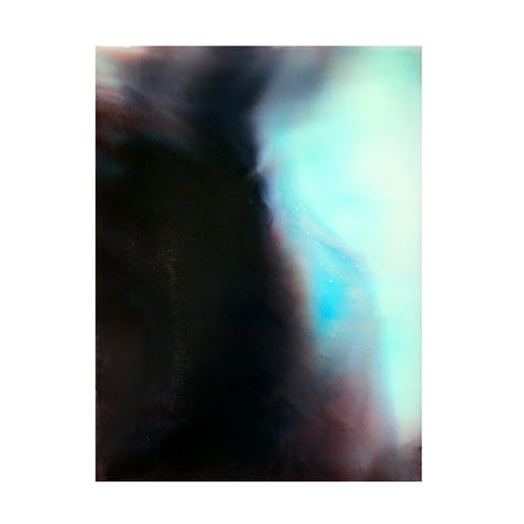 Trademark Fine Art Alyson Storms Exposure Canvas Wall Art