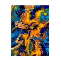 Trademark Fine Art Alyson Storms Fire and Ice Canvas Wall Art