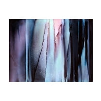 Trademark Fine Art Alyson Storms  Focus Canvas Wall Art