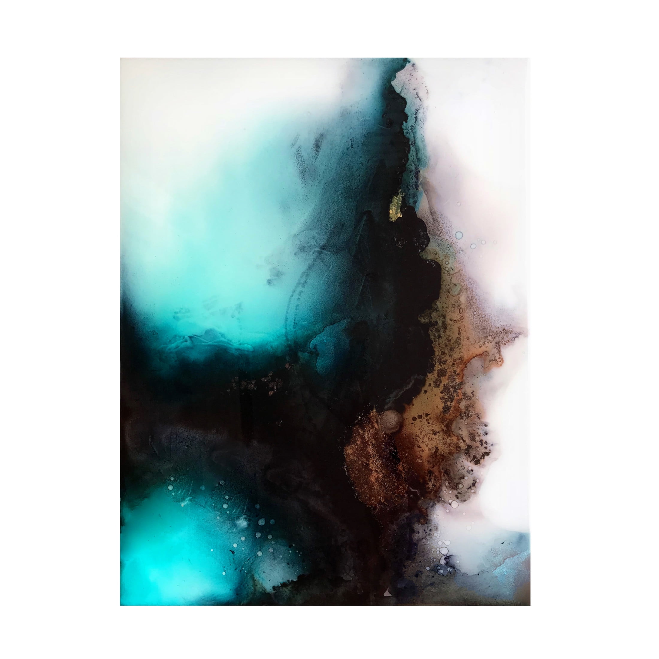 Trademark Fine Art Alyson Storms Fortune Canvas Wall Art