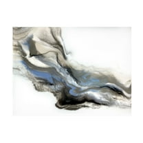 Trademark Fine Art Alyson Storms Grey Smoke Canvas Wall Art