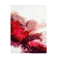 thumbnail image 1 of Trademark Fine Art Alyson Storms Rainbow Smoke 3 Canvas Wall Art, 1 of 4