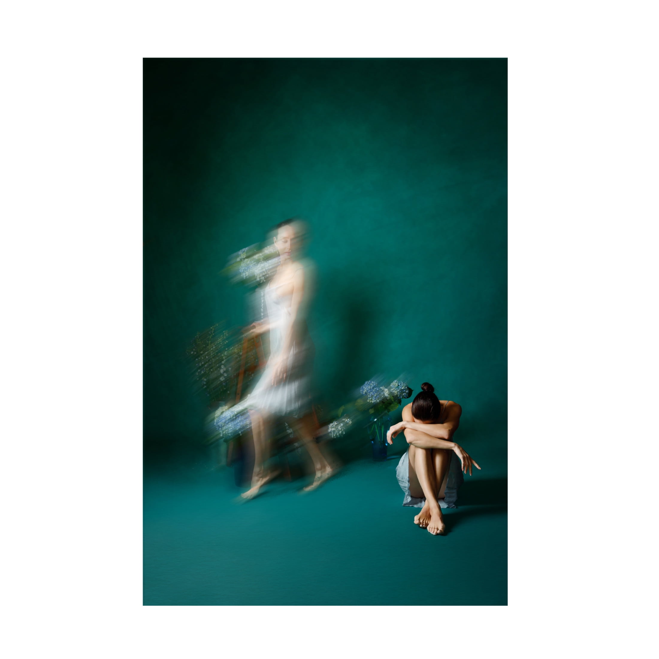 Trademark Fine Art Amalya Shandelman Coming, Going, And Just Sitting Pretty Canvas Wall Art