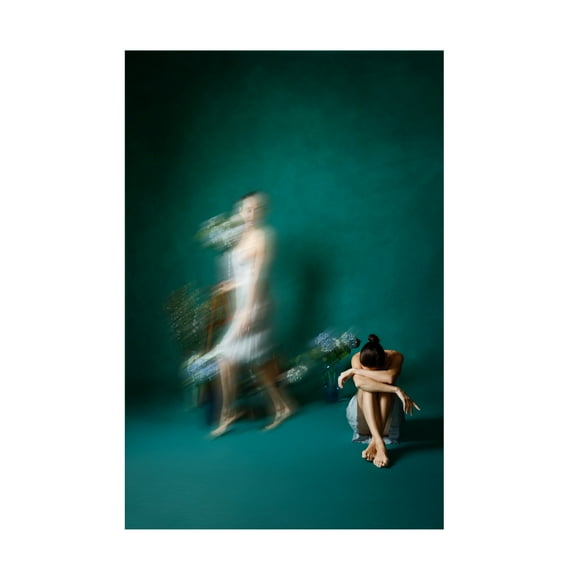 Trademark Fine Art Amalya Shandelman Coming, Going, And Just Sitting Pretty Canvas Wall Art