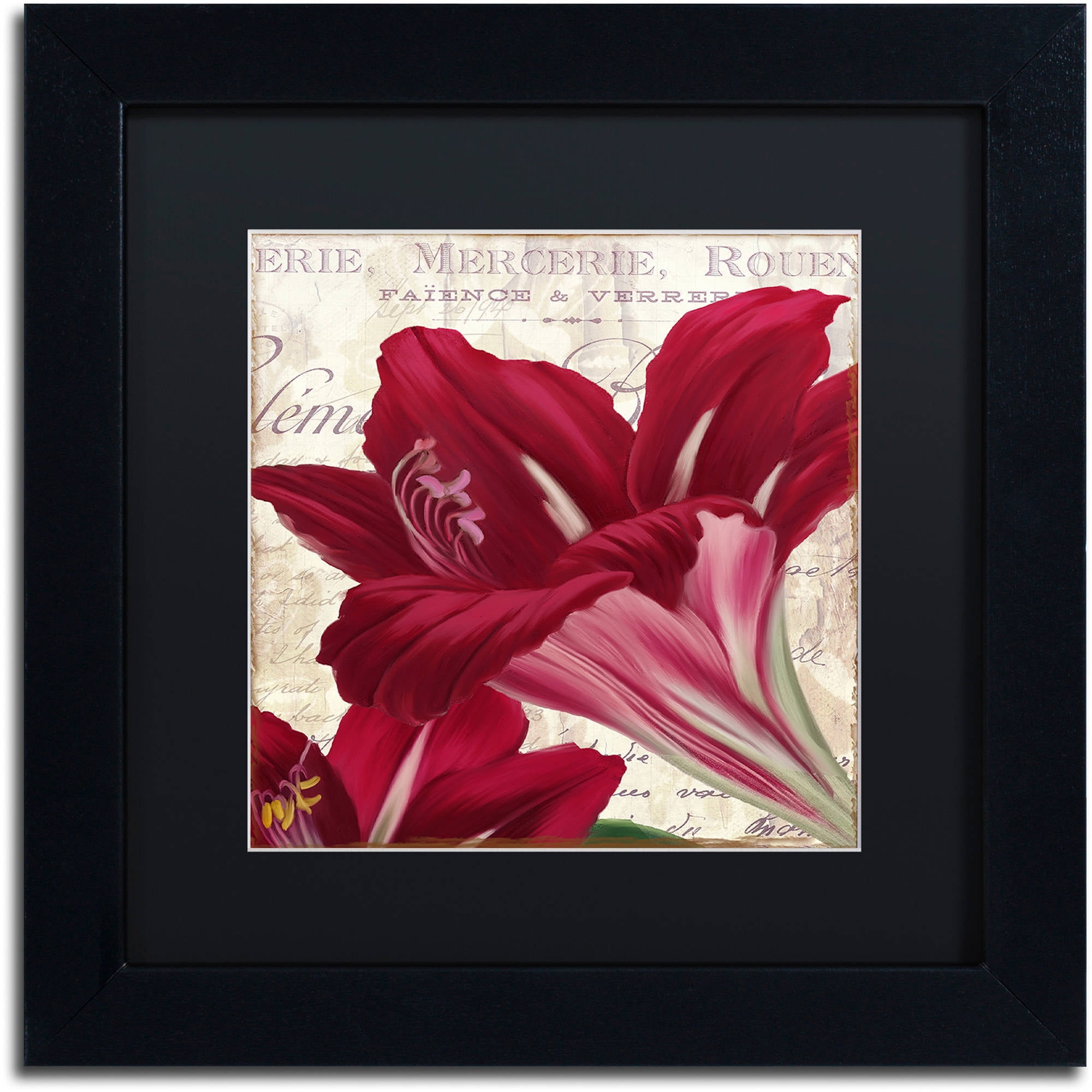 Trademark Fine Art "Amaryllis " Canvas Art by Color Bakery Black Matte, Black Frame