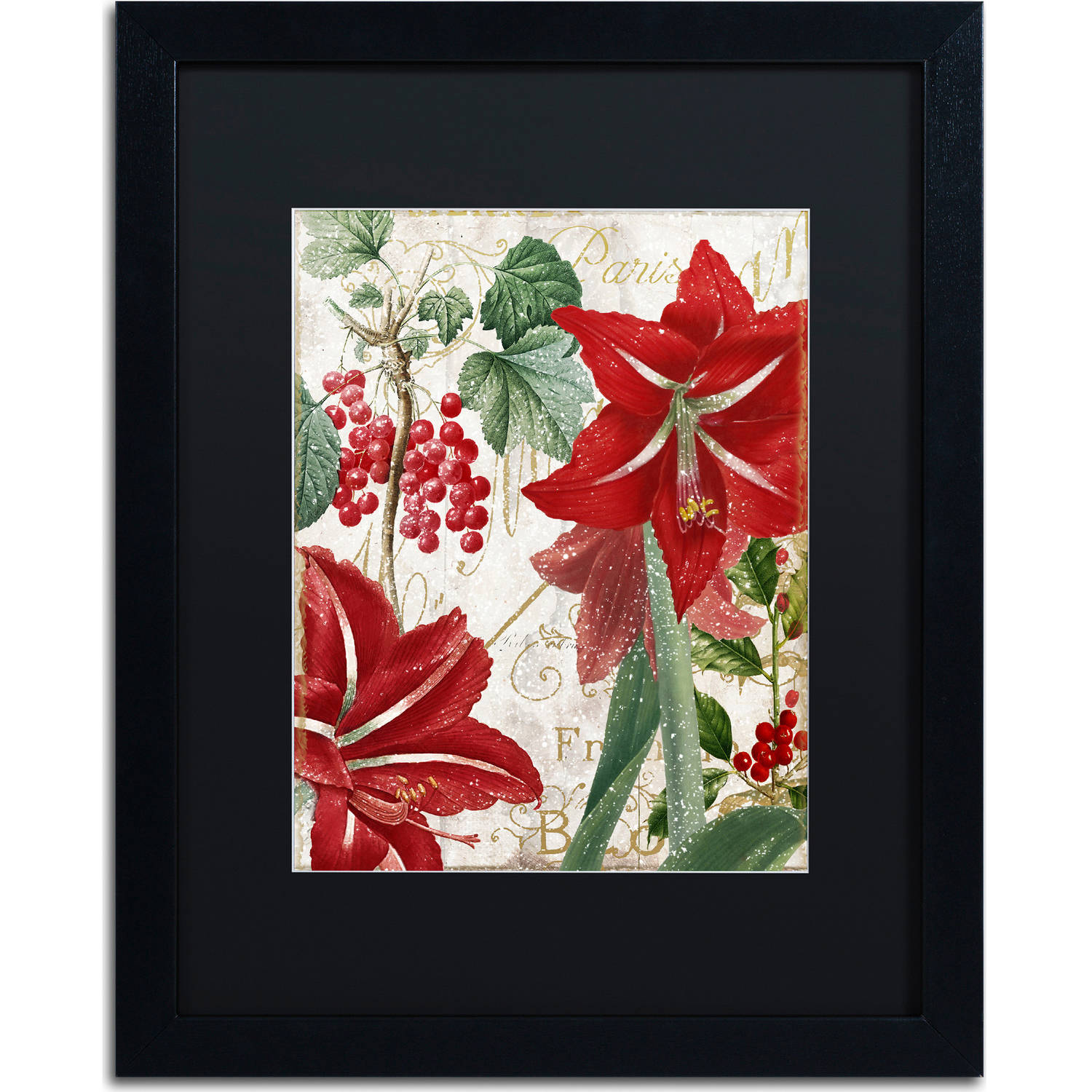 Trademark Fine Art "Amaryllis" Canvas Art by Color Bakery, Black Matte, Black Frame