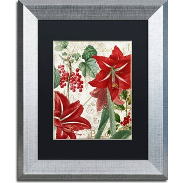 Trademark Fine Art "Amaryllis" Canvas Art by Color Bakery, Black Matte, Silver Frame