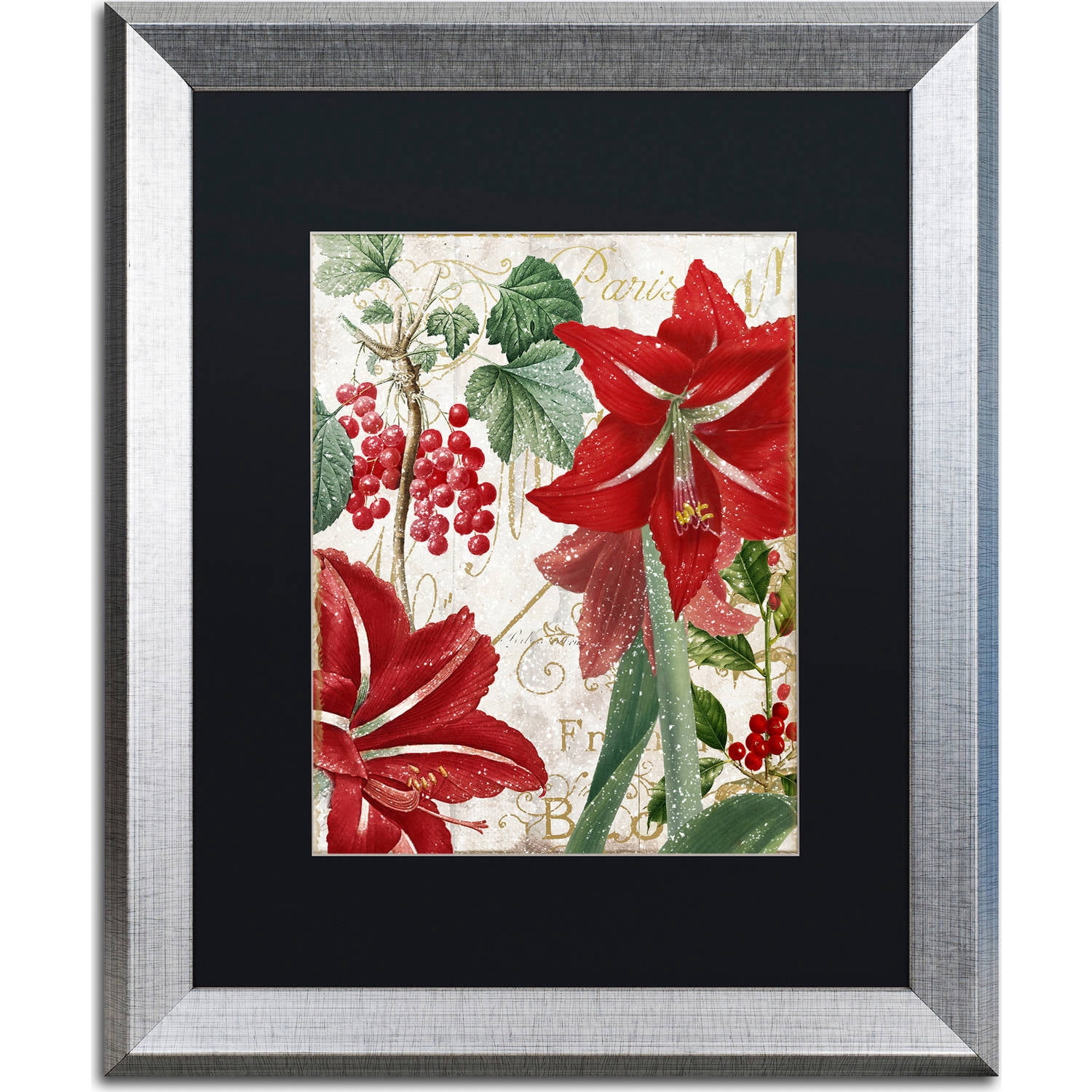 Trademark Fine Art "Amaryllis" Canvas Art by Color Bakery, Black Matte, Silver Frame