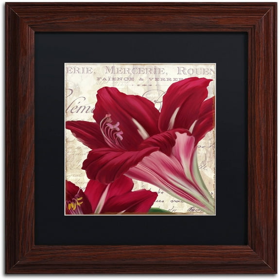 Trademark Fine Art "Amaryllis " Canvas Art by Color Bakery Black Matte, Wood Frame