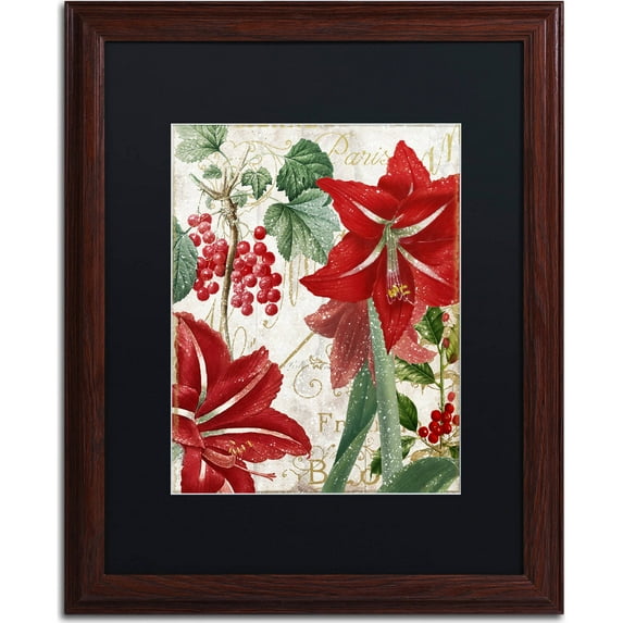 Trademark Fine Art "Amaryllis" Canvas Art by Color Bakery, Black Matte, Wood Frame