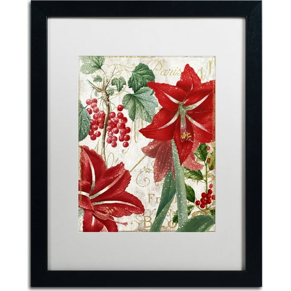 Trademark Fine Art "Amaryllis" Canvas Art by Color Bakery, White Matte, Black Frame