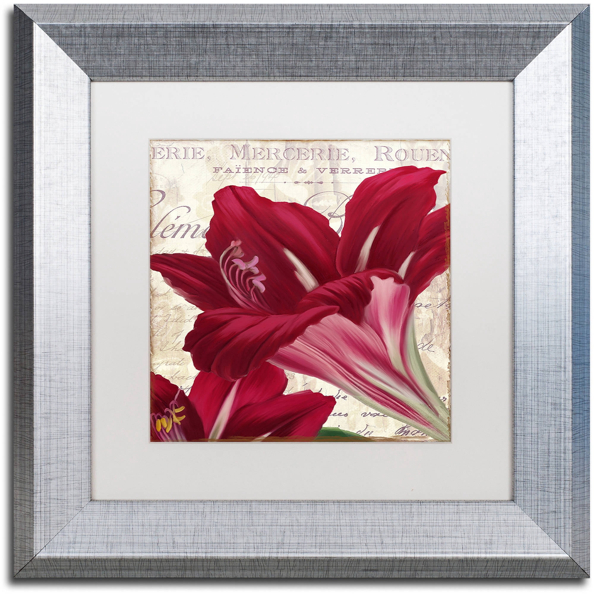 Trademark Fine Art "Amaryllis " Canvas Art by Color Bakery White Matte, Silver Frame