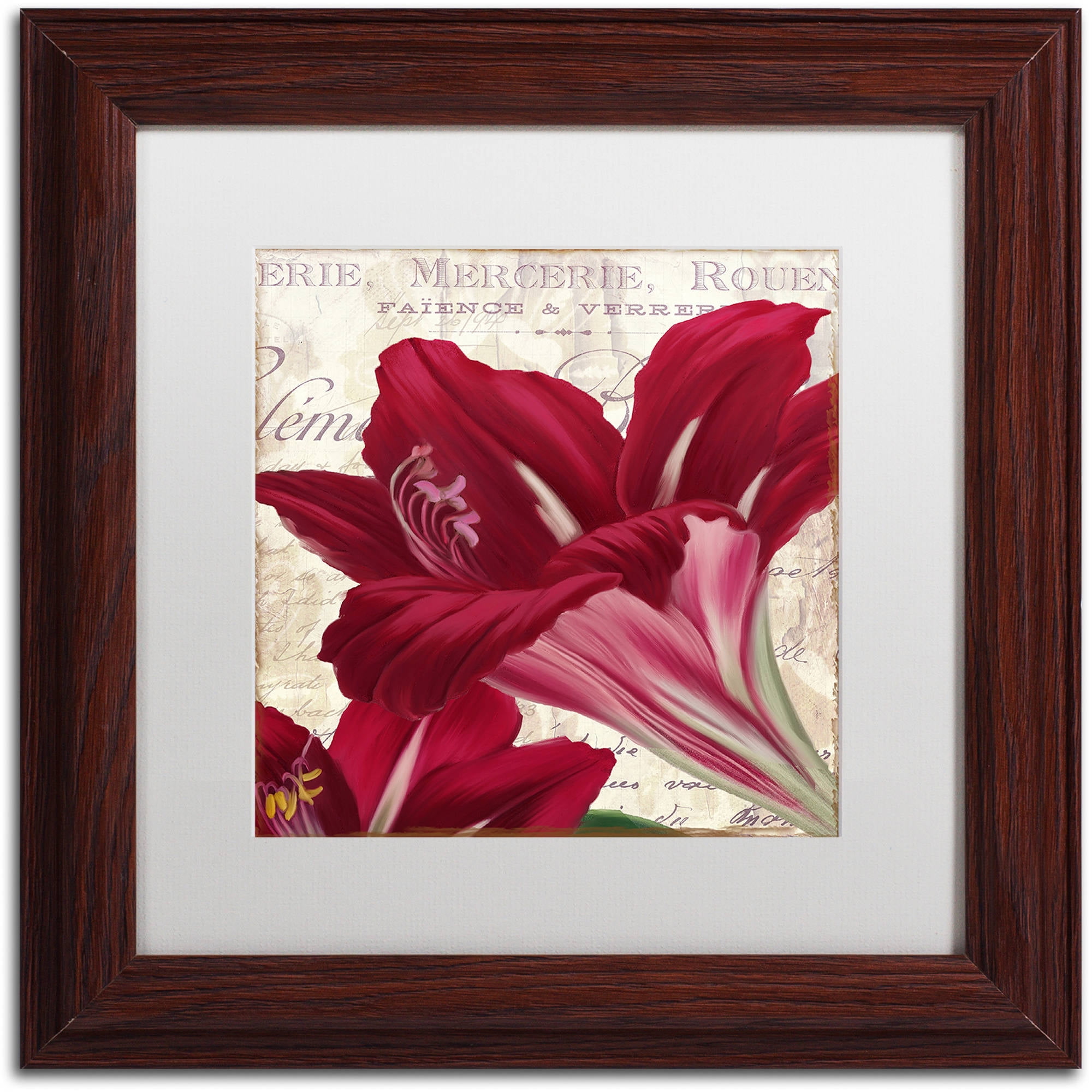 Trademark Fine Art "Amaryllis " Canvas Art by Color Bakery White Matte, Wood Frame